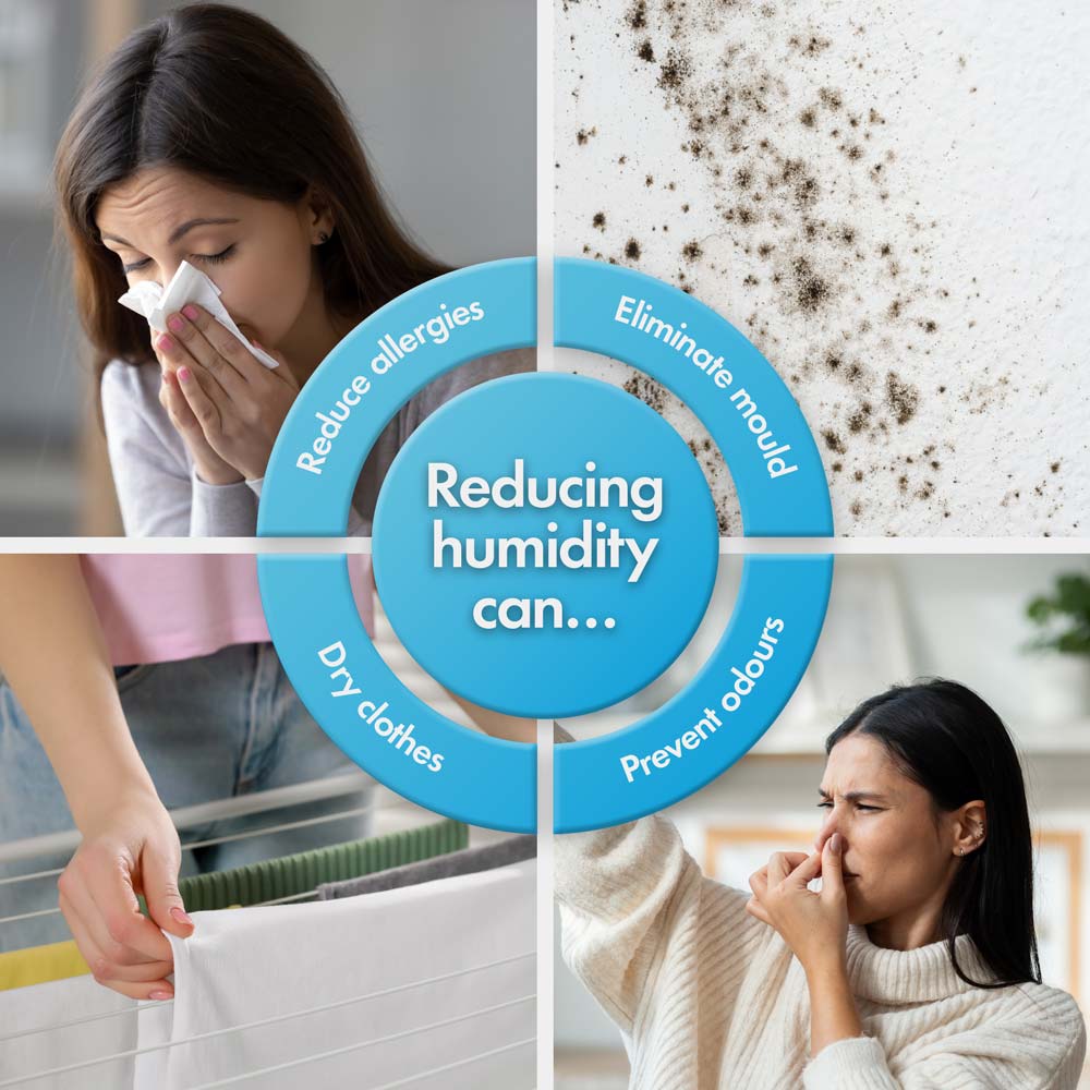 12L Low Energy Dehumidifier with Laundry Mode