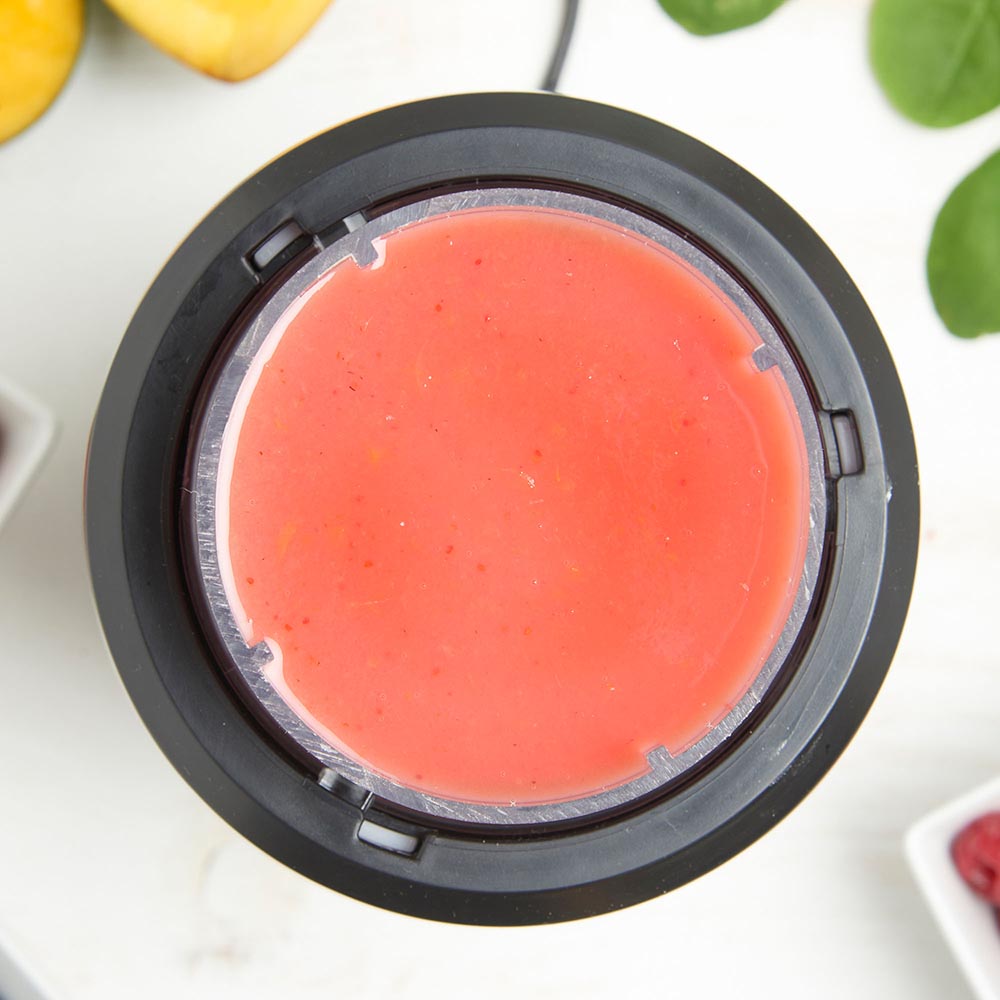 UltraBlend Smoothie Maker 