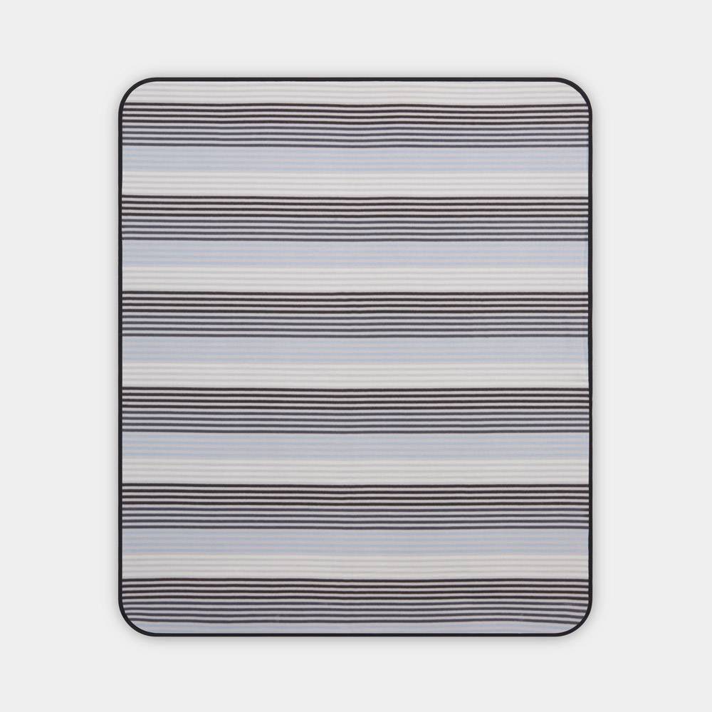 Ash Picnic Backpack - 2 Person