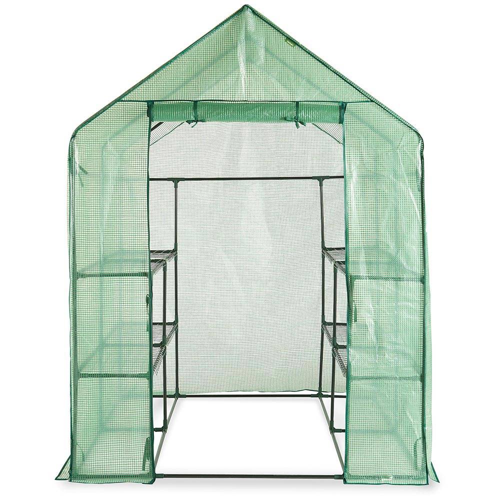 Deep Walk In Greenhouse