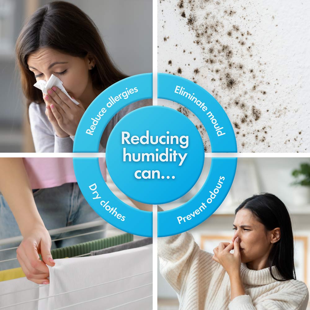 7L Quiet Desiccant Dehumidifier