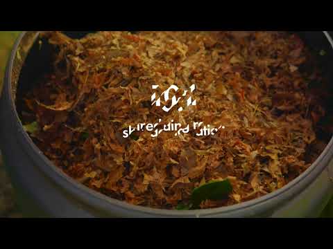 VonHaus Leaf Blower with Vacuum & Mulcher