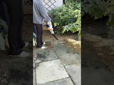 How to clear leaves with this handy cordless tool #leafblower #gardentools #gardentips #gardening