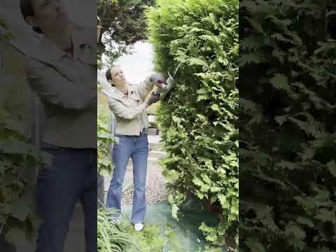 Battery Hedge Trimmer for Fast, Precise Cutting - Vonhaus F-Series Cordless Hedge Trimmer #gardening