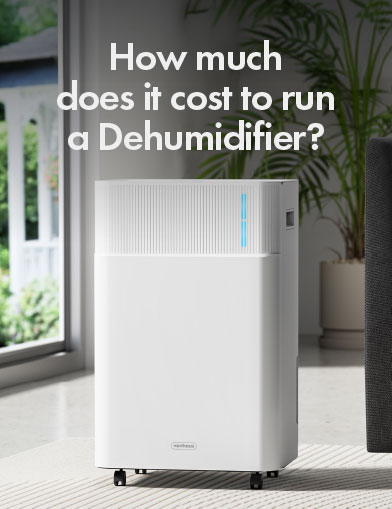 Dehumidifier In Living Room