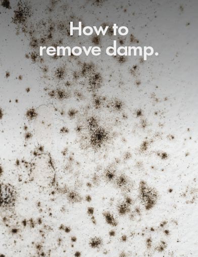 Dehumidifier Health Benefits